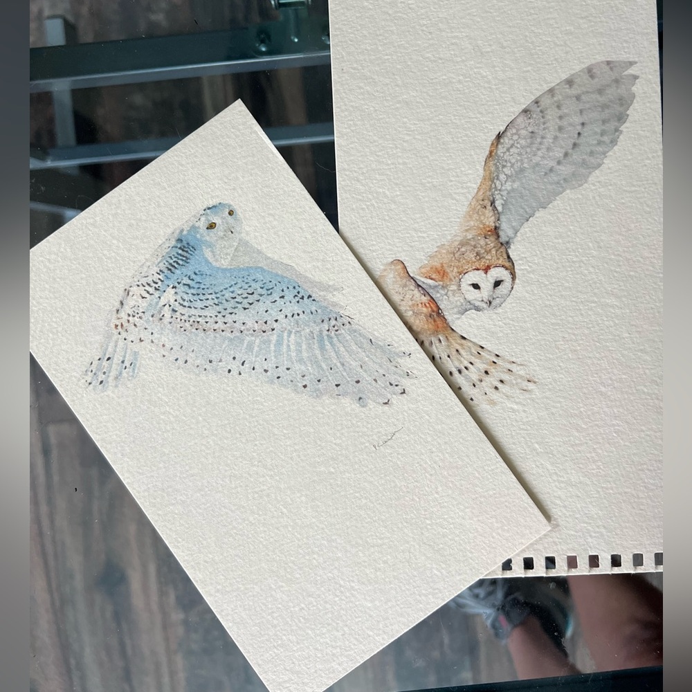 Mini owl watercolors, barn owl paintings, snowy owl painting, original owl art